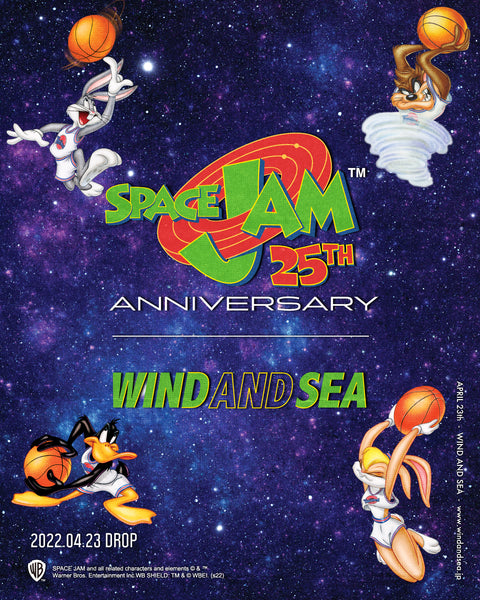 wind and sea hair band ヘアバンド　space jam