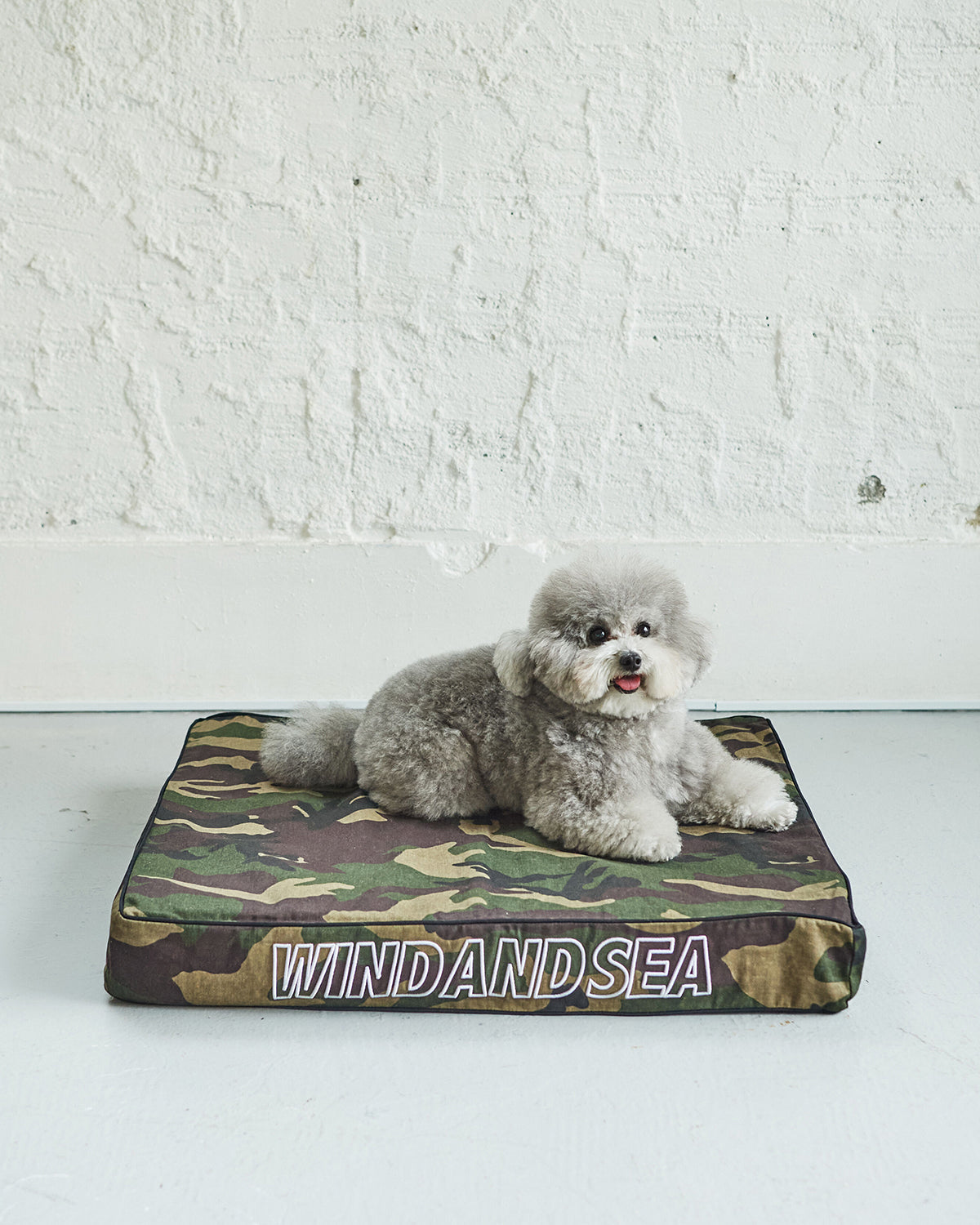Dog Clothes Collection – WIND AND SEA