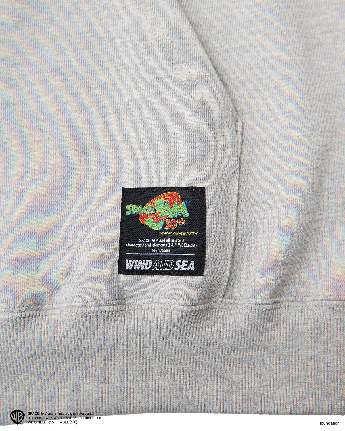 SPACE JAM x WDS HOODIE