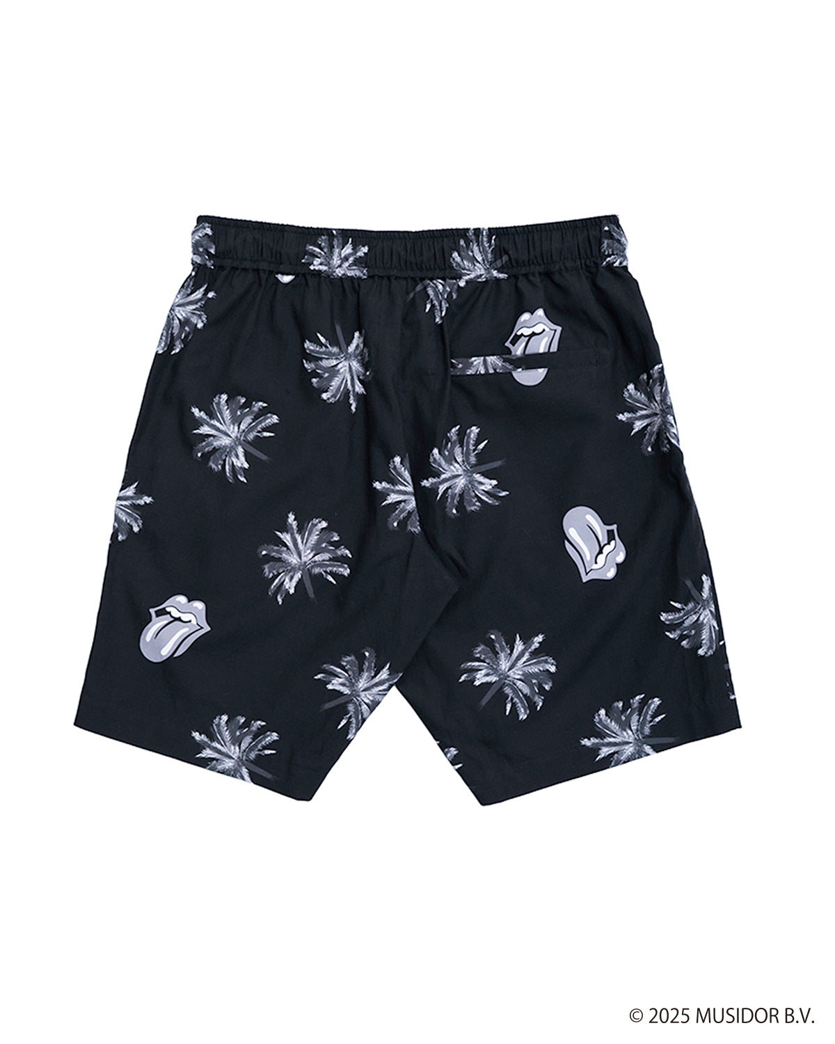 The Rolling Stones x WDS Shorts