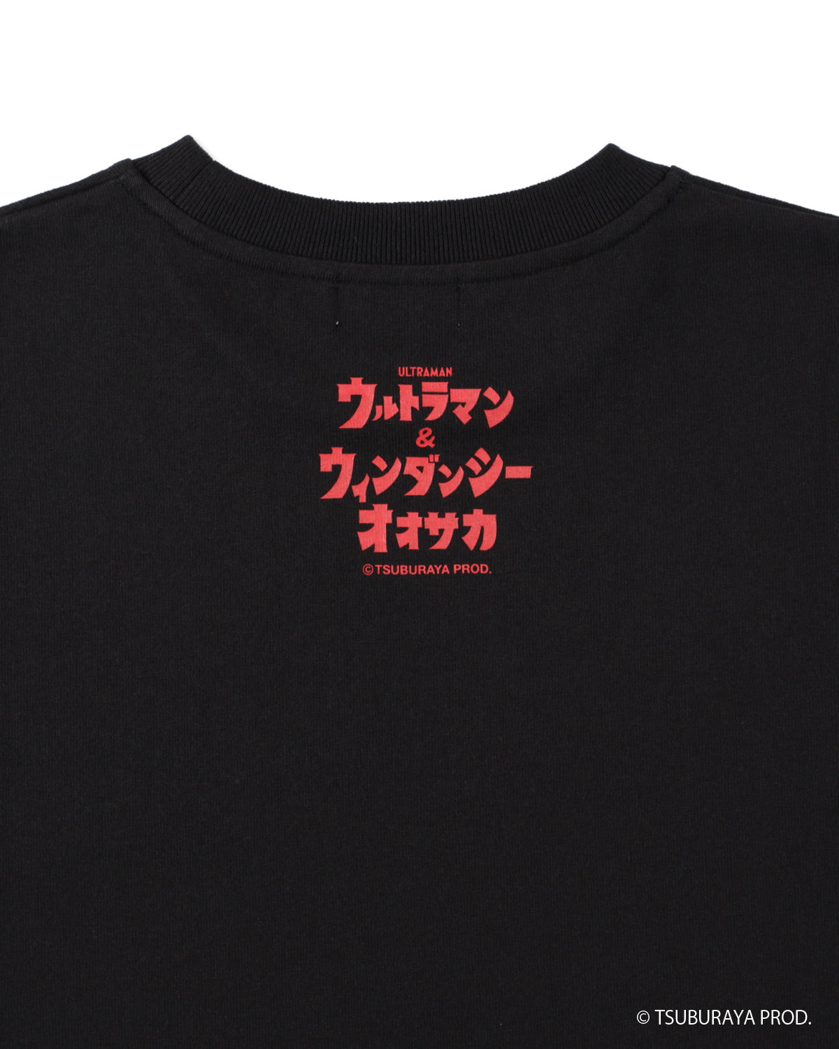 PIGMON L/S TEE