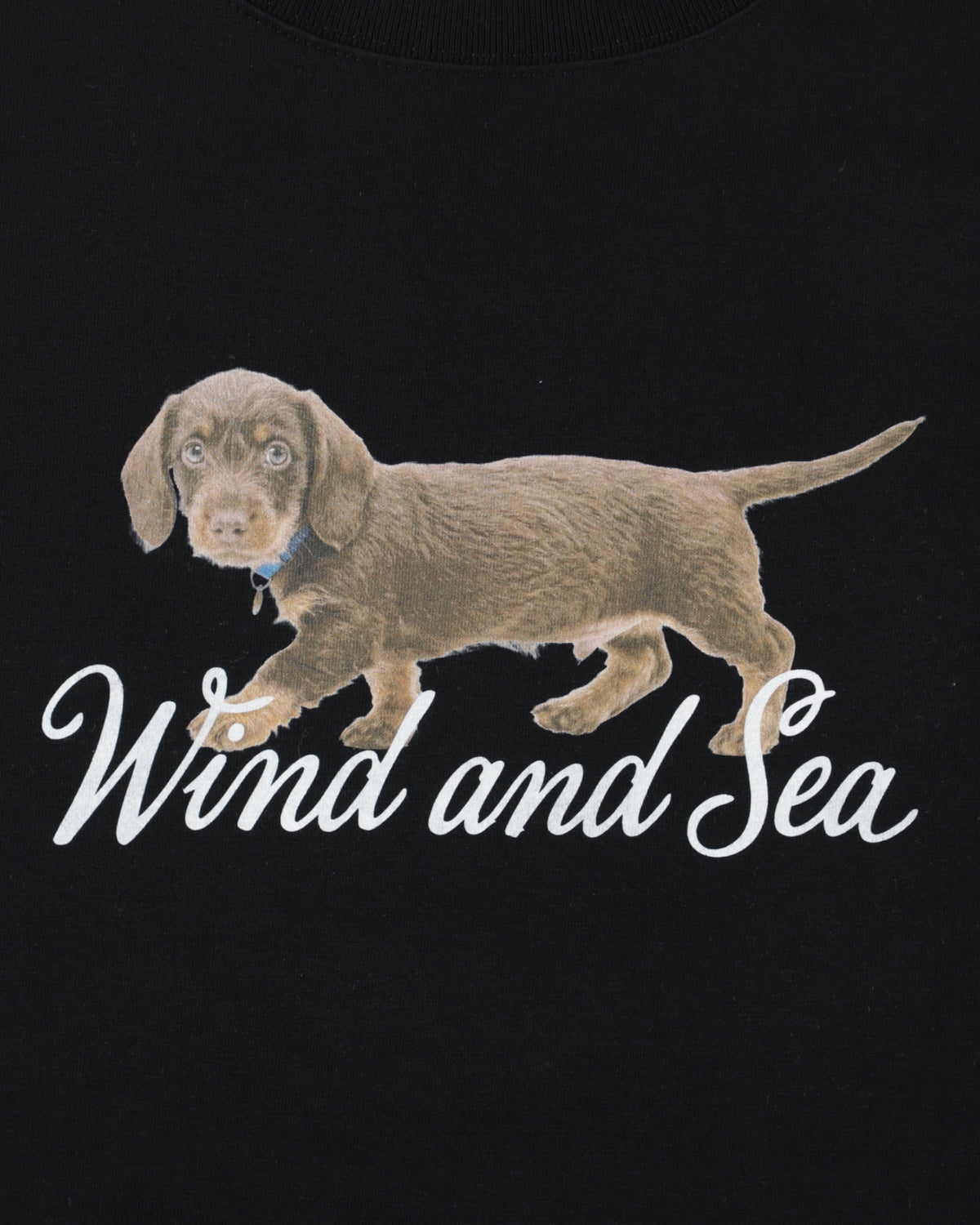 DOG LOGO S/S TEE