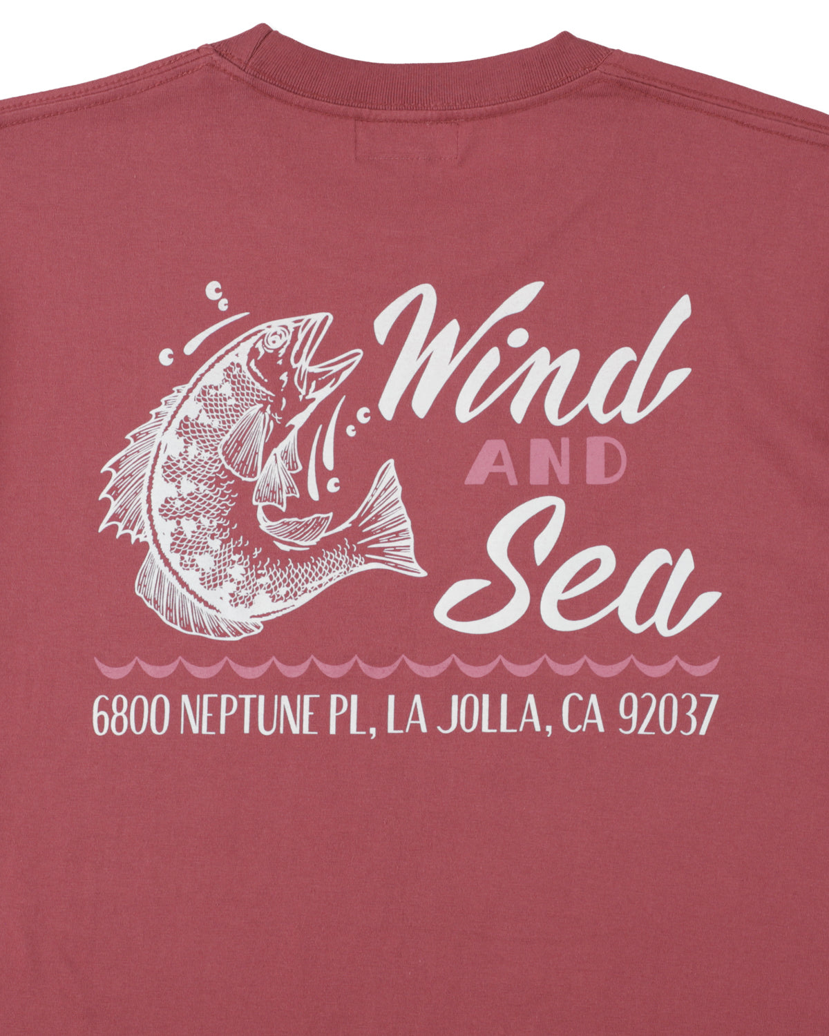 NEPTUNE TEE