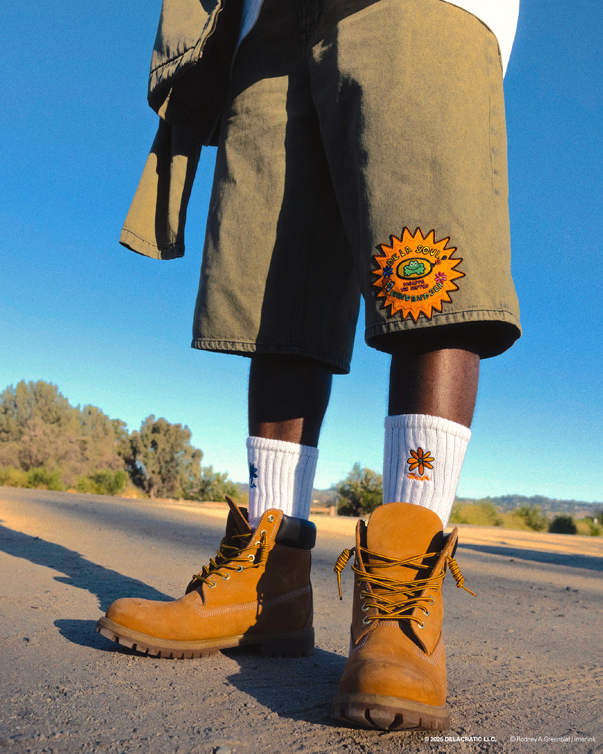 PARAPPA x DE LA SOUL x WDS TUBE SOCKS