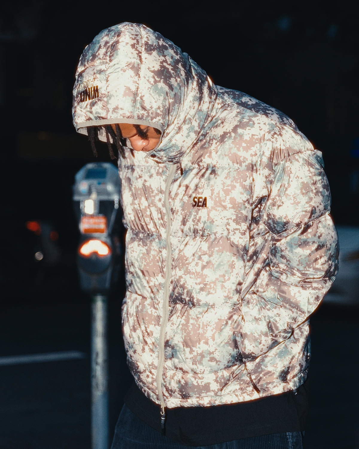 TAION x WDS HOODED DOWN
