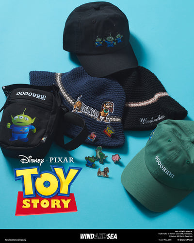 TOY STORY x WDS PINS (REX)