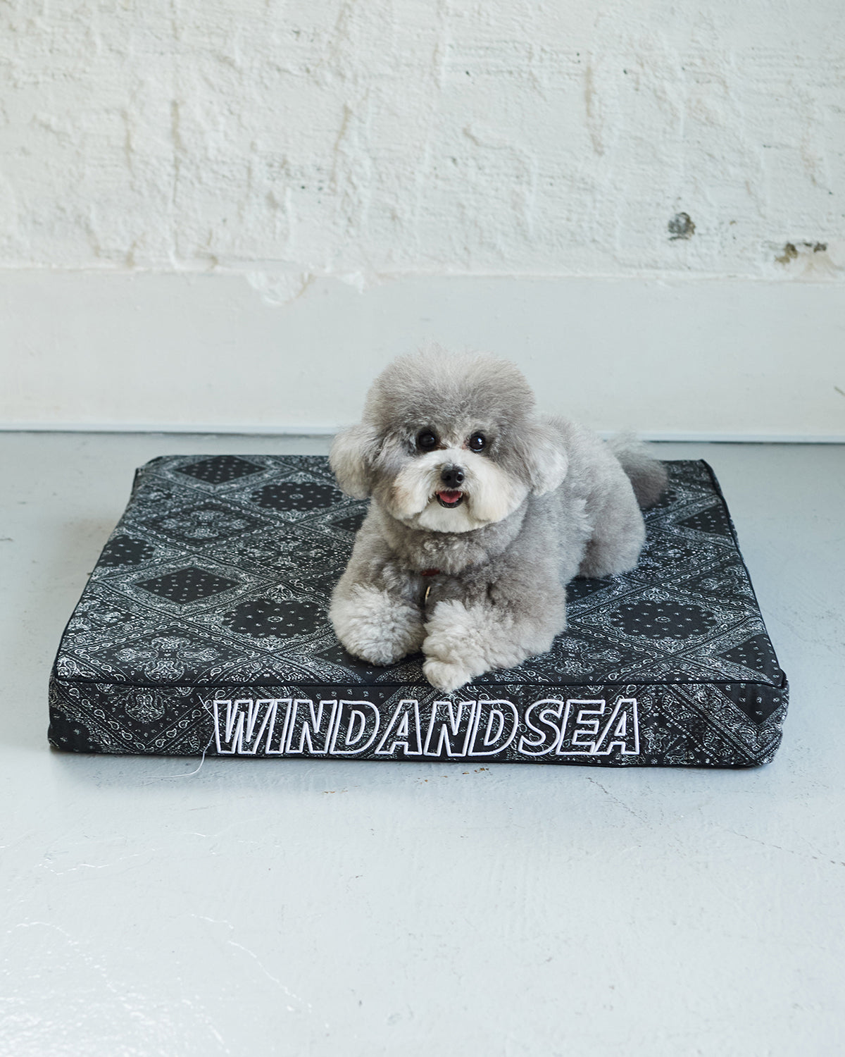 Dog Clothes Collection – WIND AND SEA