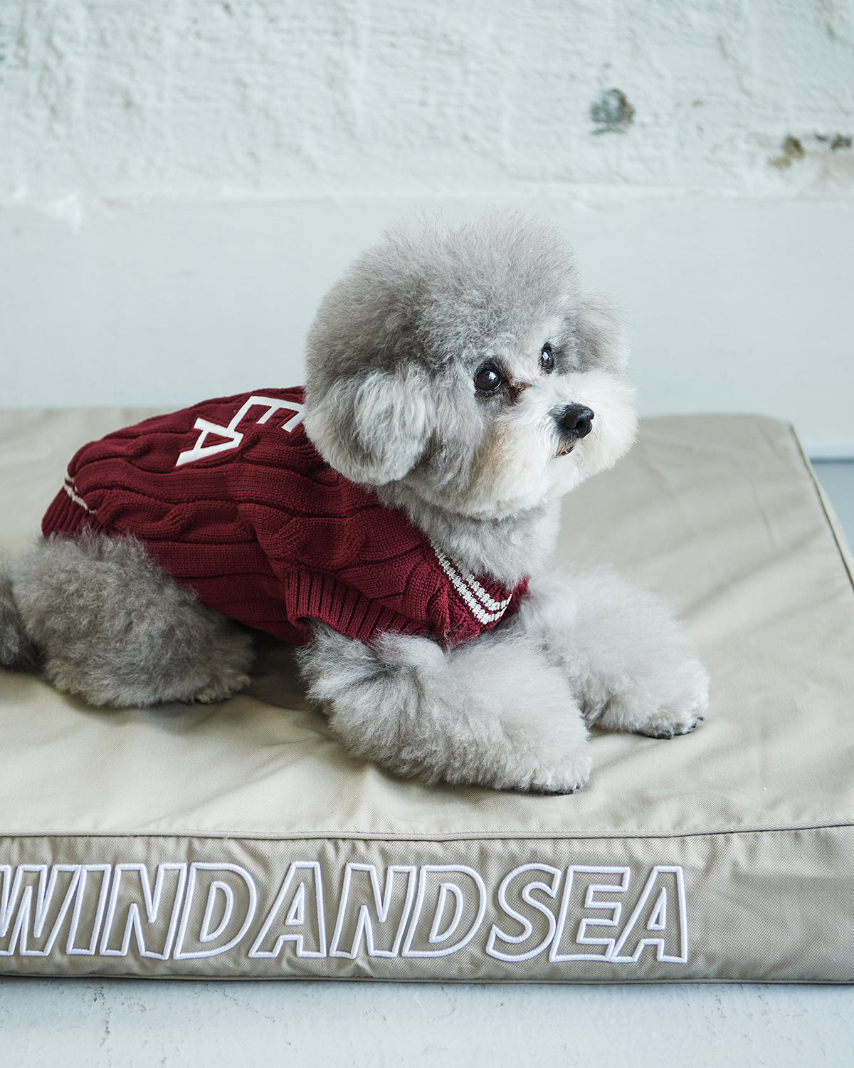 DOG CUSHION BED – WIND AND SEA