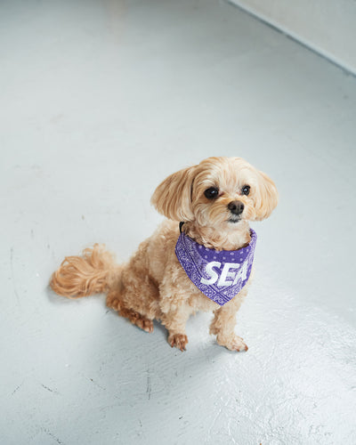 DOG BANDANA