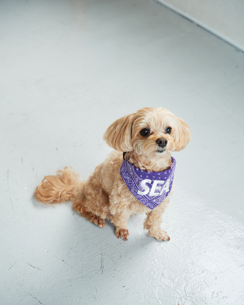 DOG BANDANA