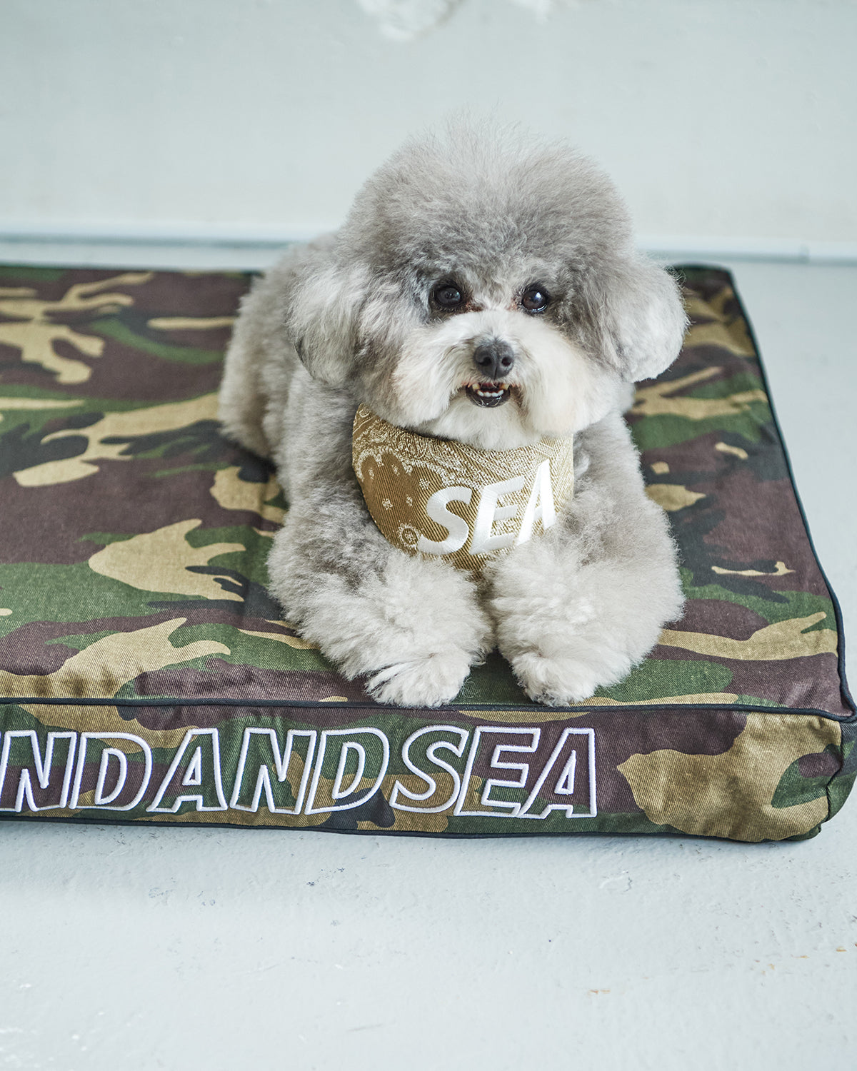 WIND AND SEA DOG CUSHION BED ベッド　犬用　チワワ DOG CUSHION BED – WIND AND SEA