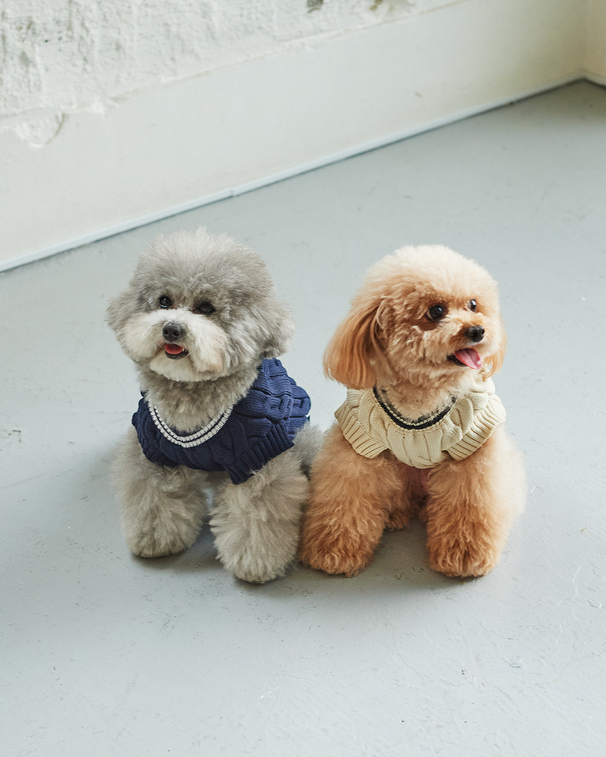 SEA DOG TILDEN SWEATER