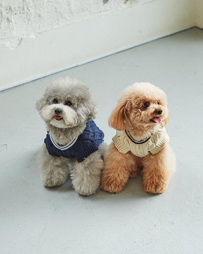 SEA DOG TILDEN SWEATER