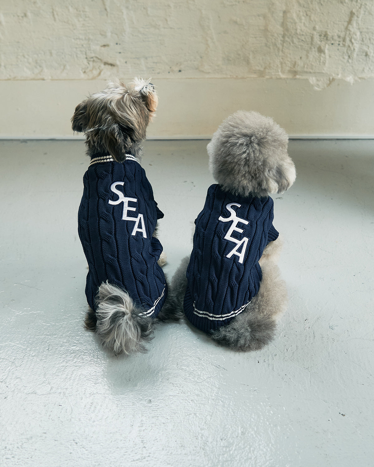 SEA DOG TILDEN SWEATER