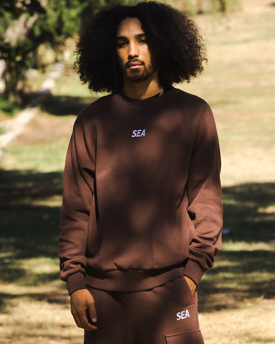 ES_W_Raglan Crew Neck Waffle Shirt / BROWN