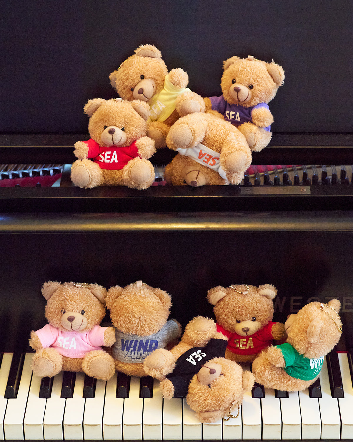 SEA TEDDY BEAR KEY RING