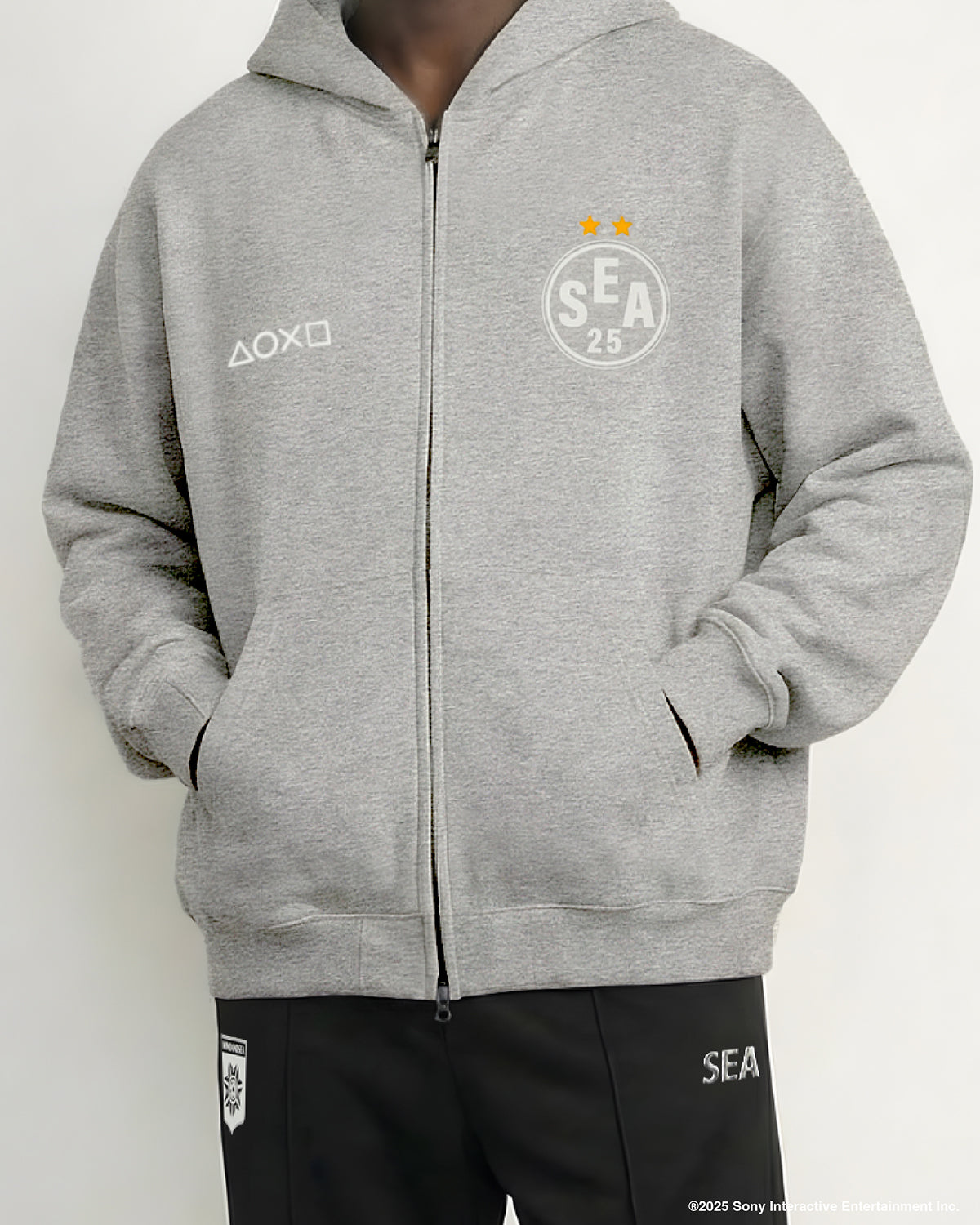 PLAYSTATION x WDS TEAM ZIP HOODIE