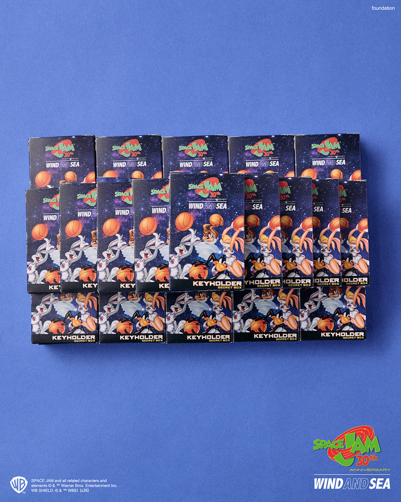 SPACE JAM x WDS KEY HOLDER