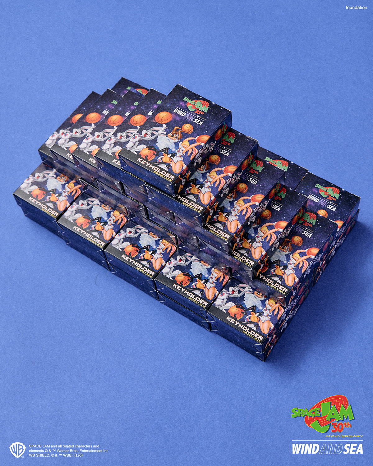 SPACE JAM x WDS KEY HOLDER