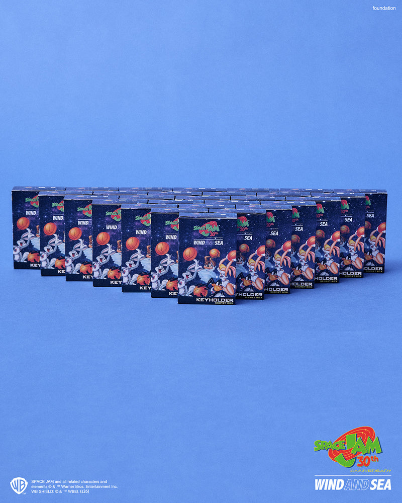 SPACE JAM x WDS KEY HOLDER