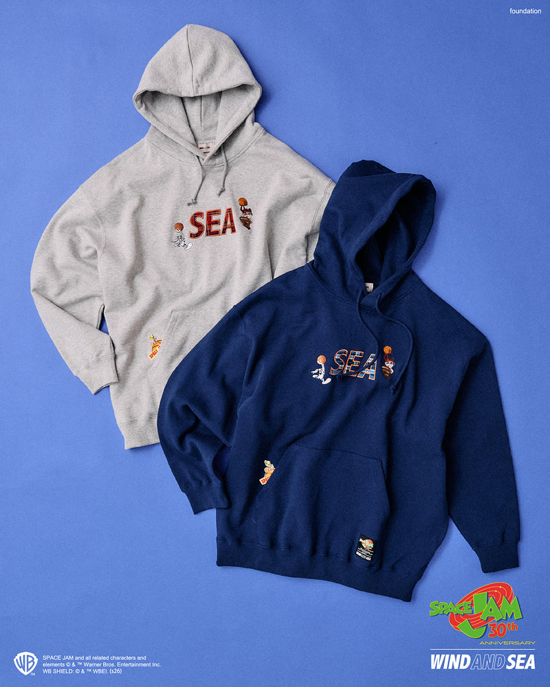 SPACE JAM x WDS HOODIE