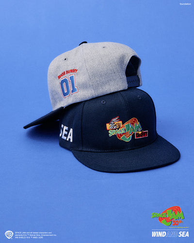 SPACE JAM x WDS CAP