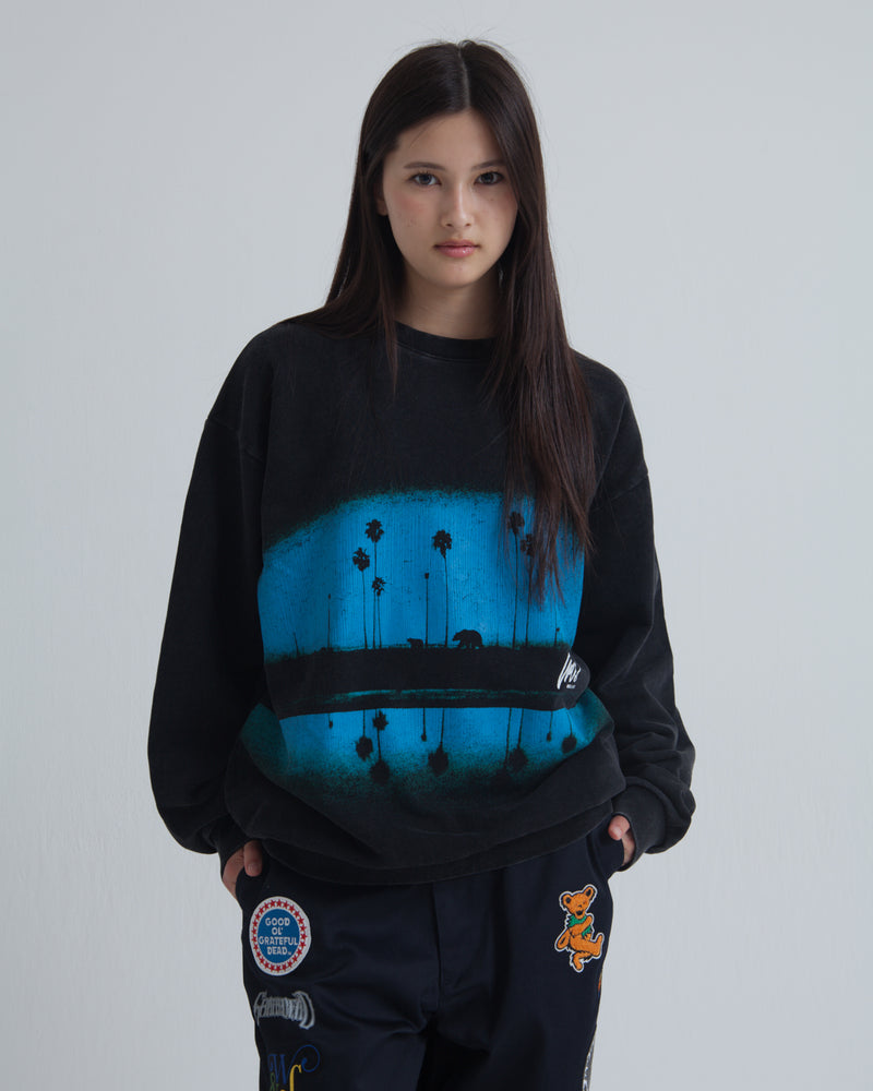 SUNSET CREWNECK SWEAT SHIRT