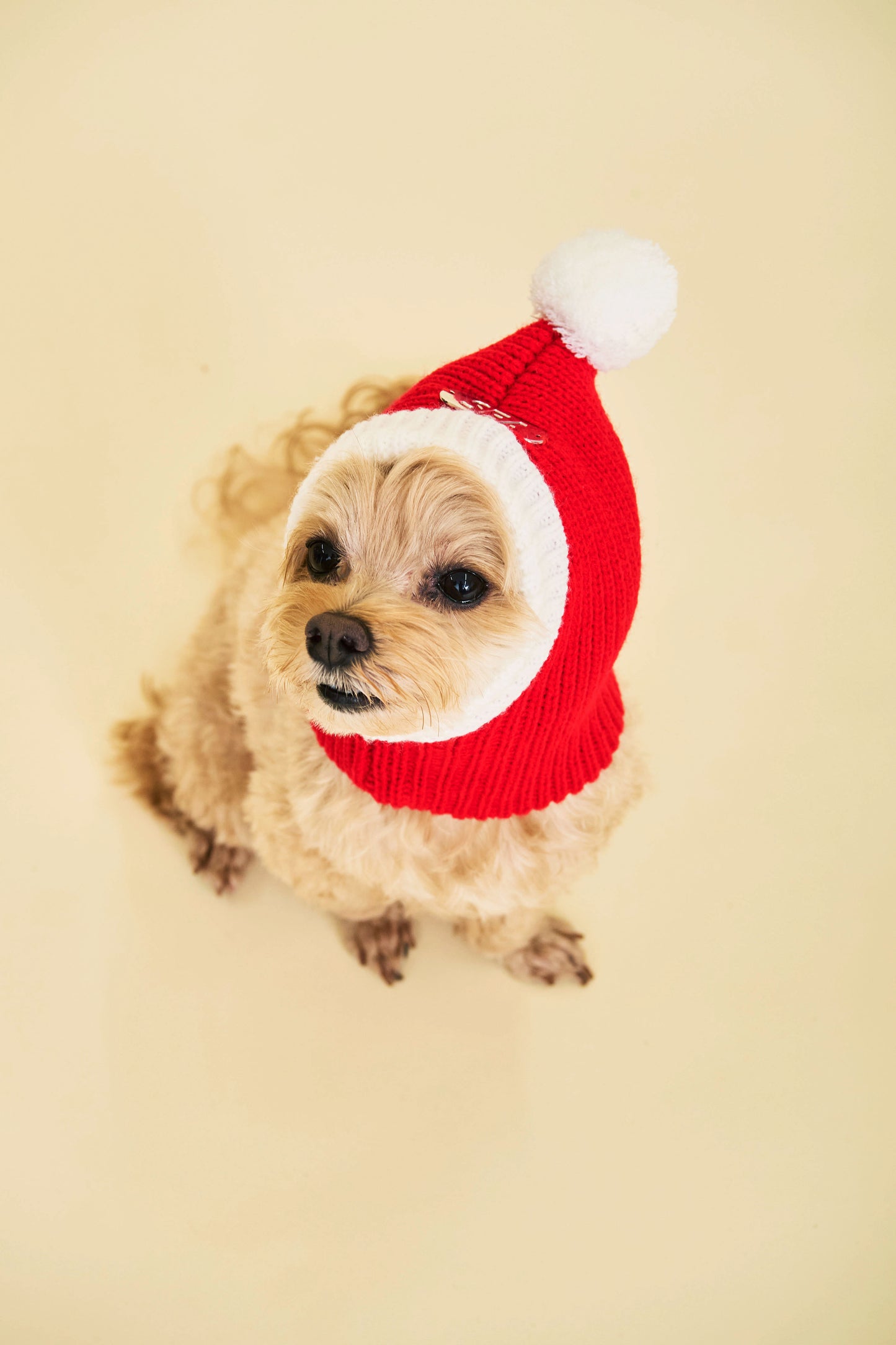 XMAS ANIMAL SANTA HAT