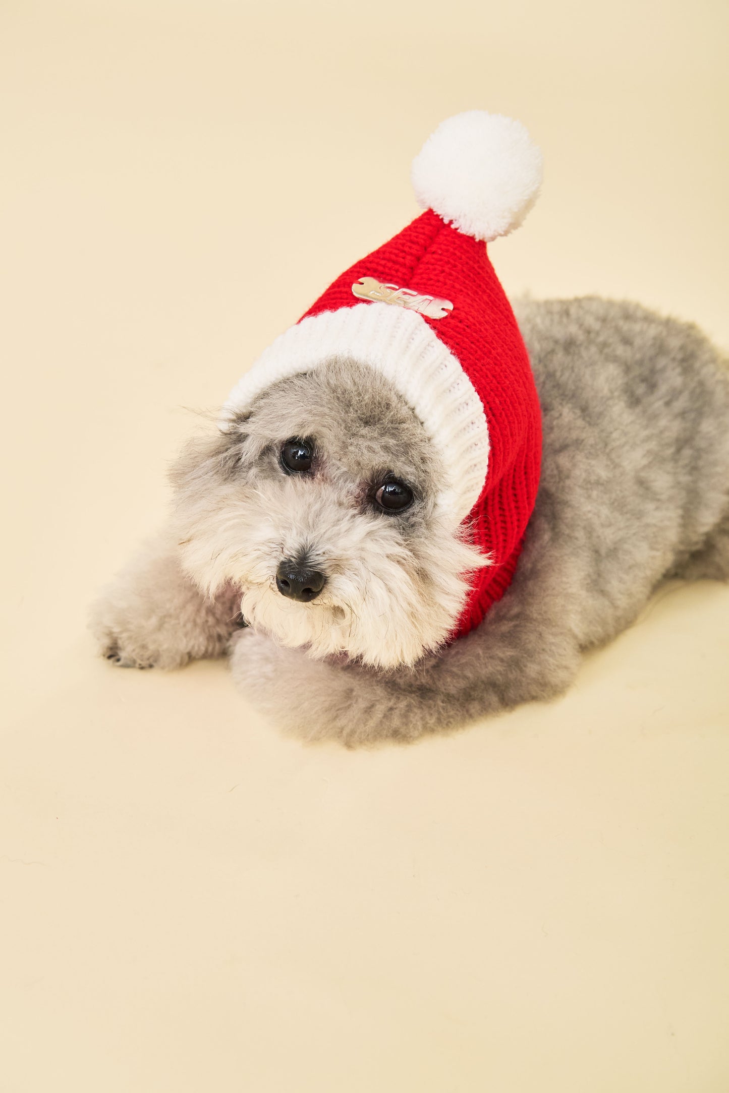 XMAS ANIMAL SANTA HAT