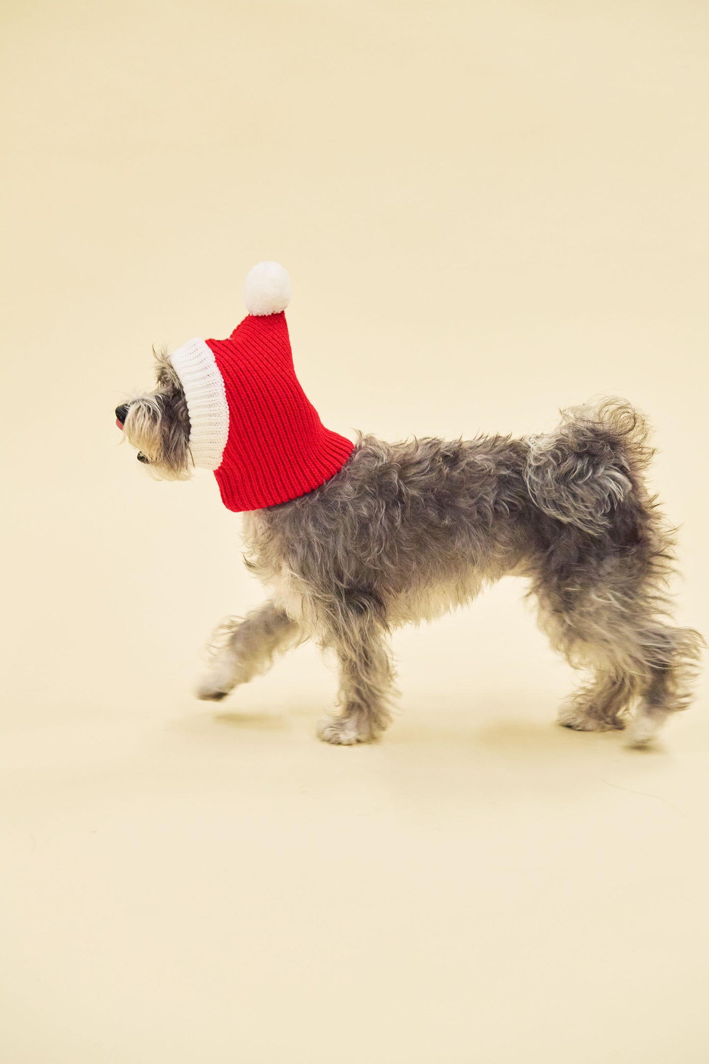 XMAS ANIMAL SANTA HAT