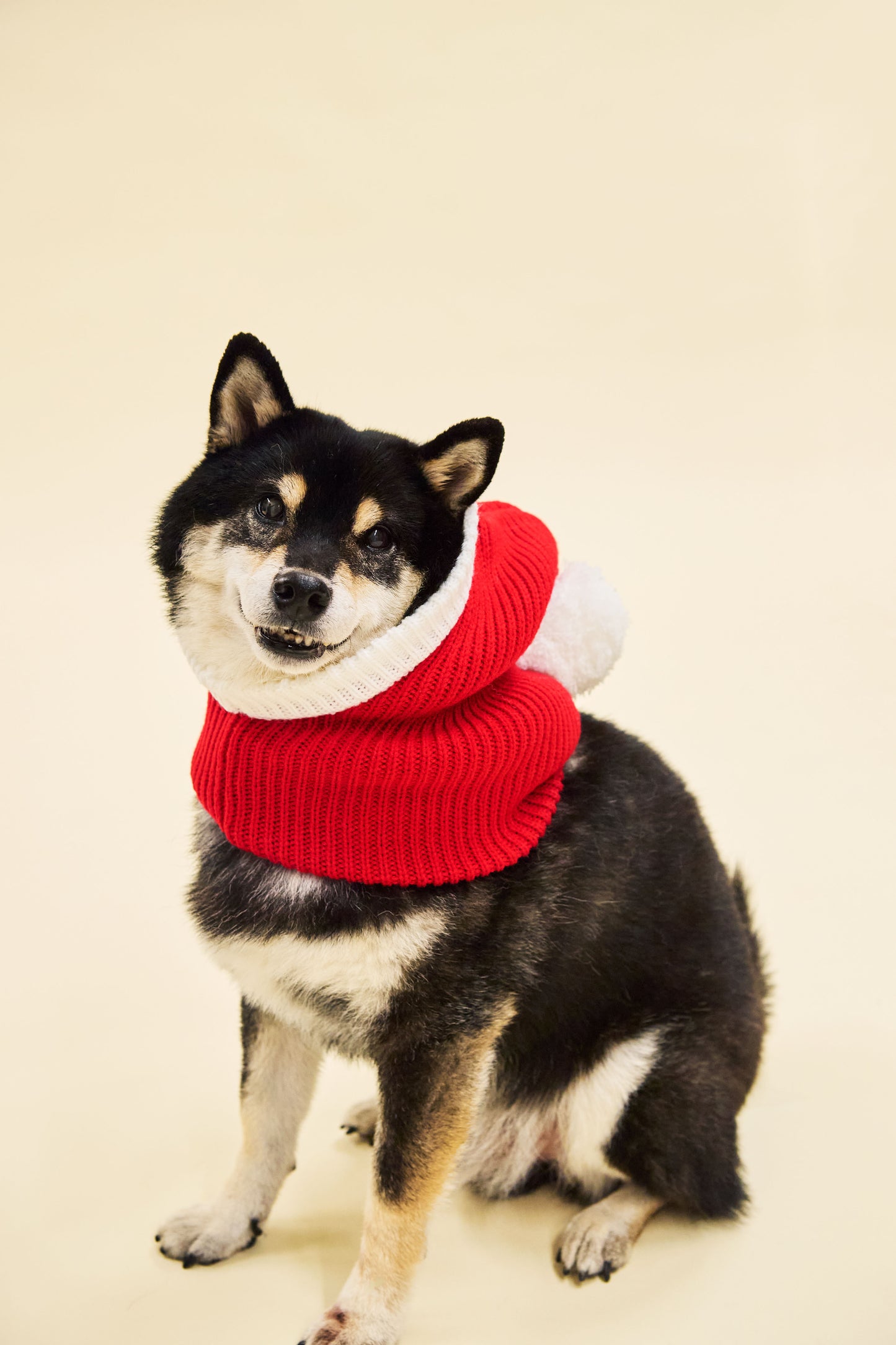 XMAS ANIMAL SANTA HAT