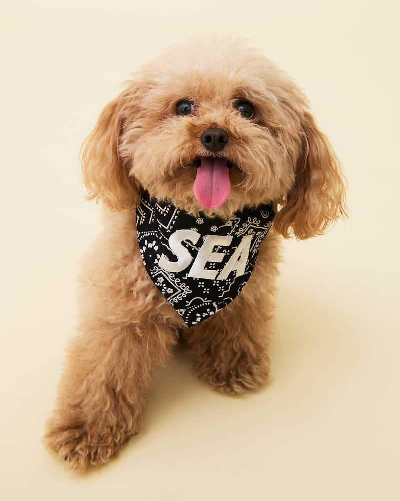 DOG BANDANNA