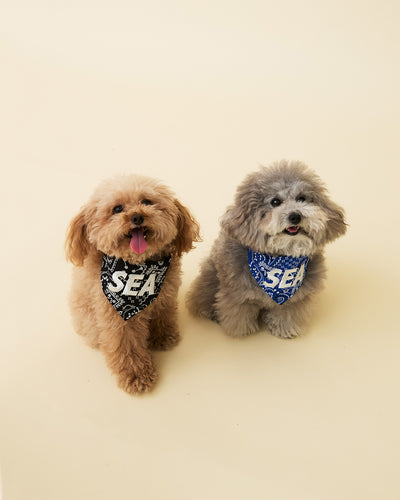 DOG BANDANNA