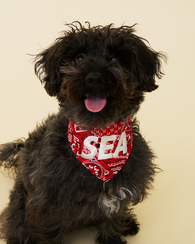 DOG BANDANNA