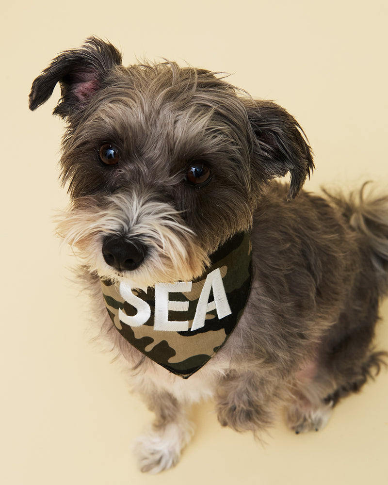 DOG BANDANNA