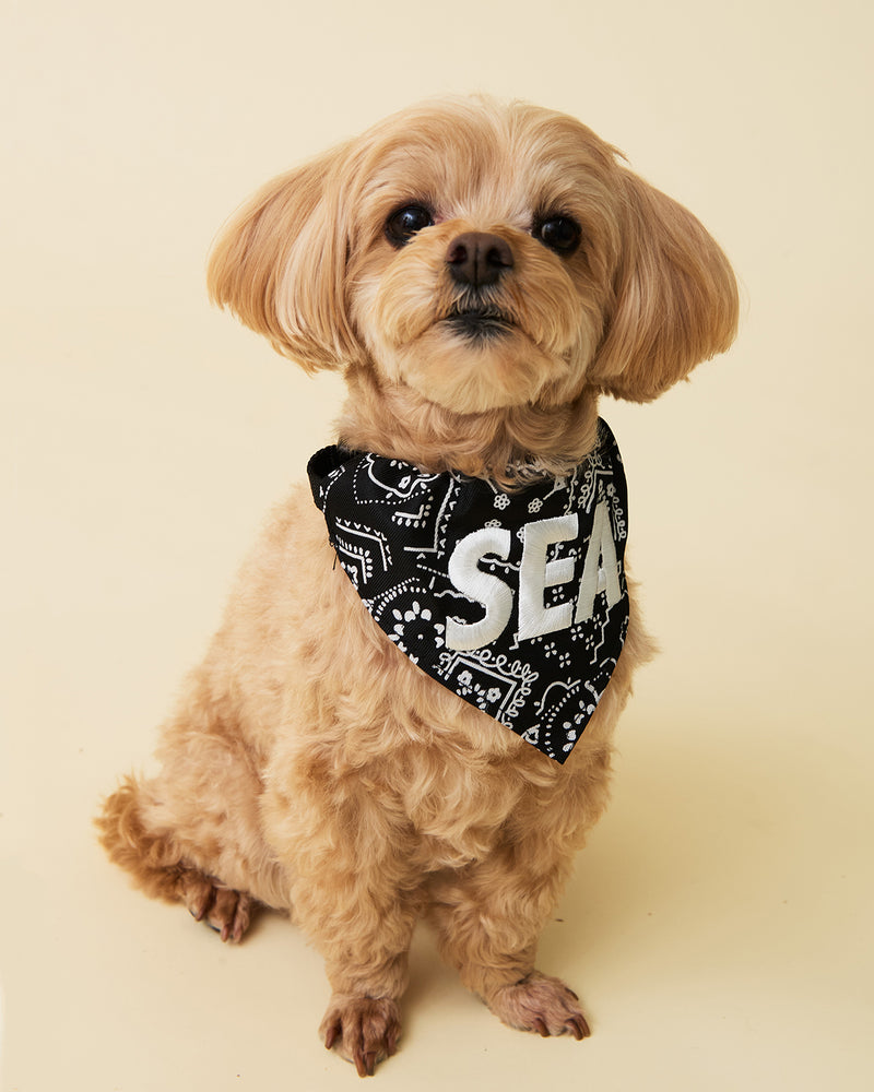 DOG BANDANNA