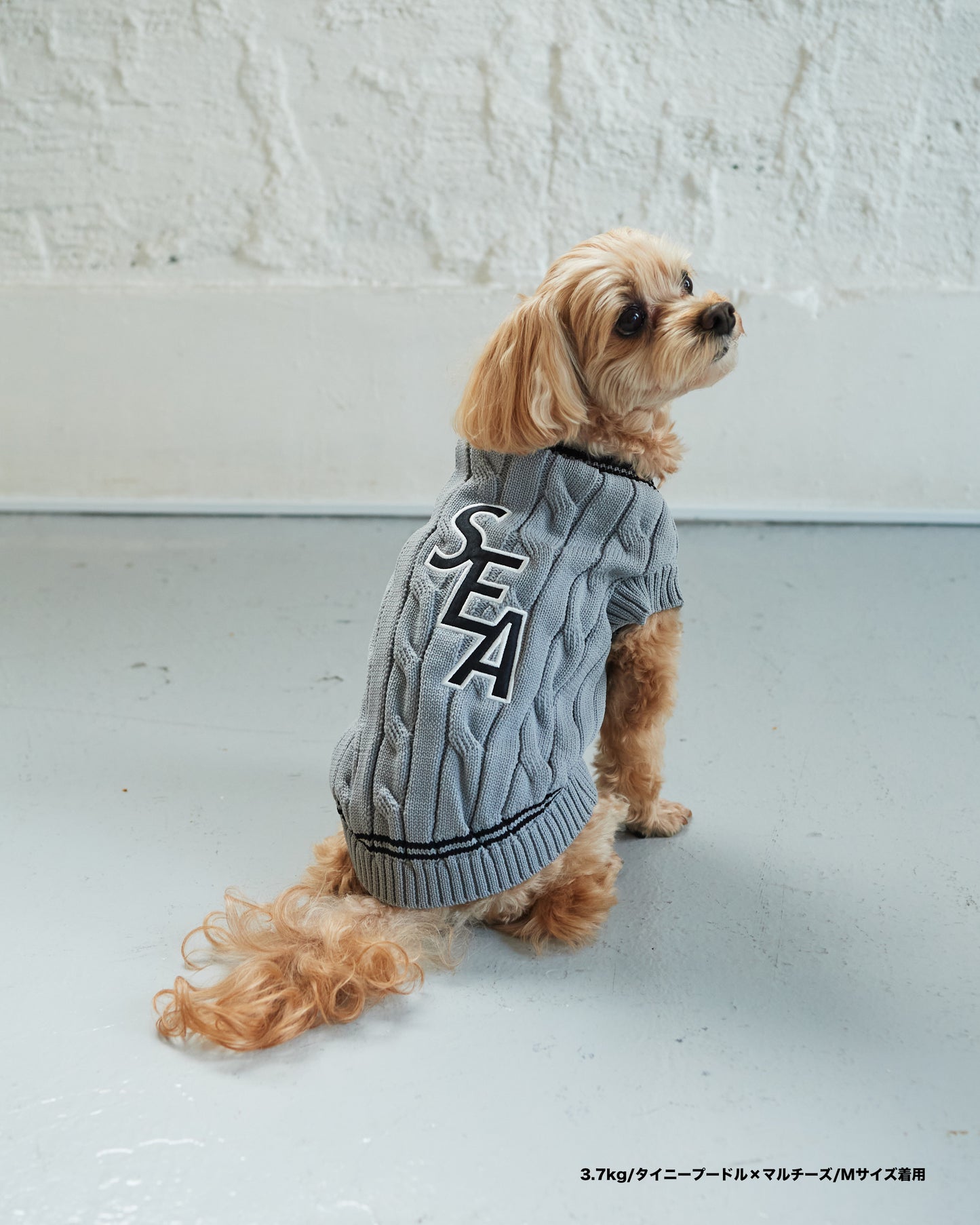 SEA DOG TILDEN SWEATER