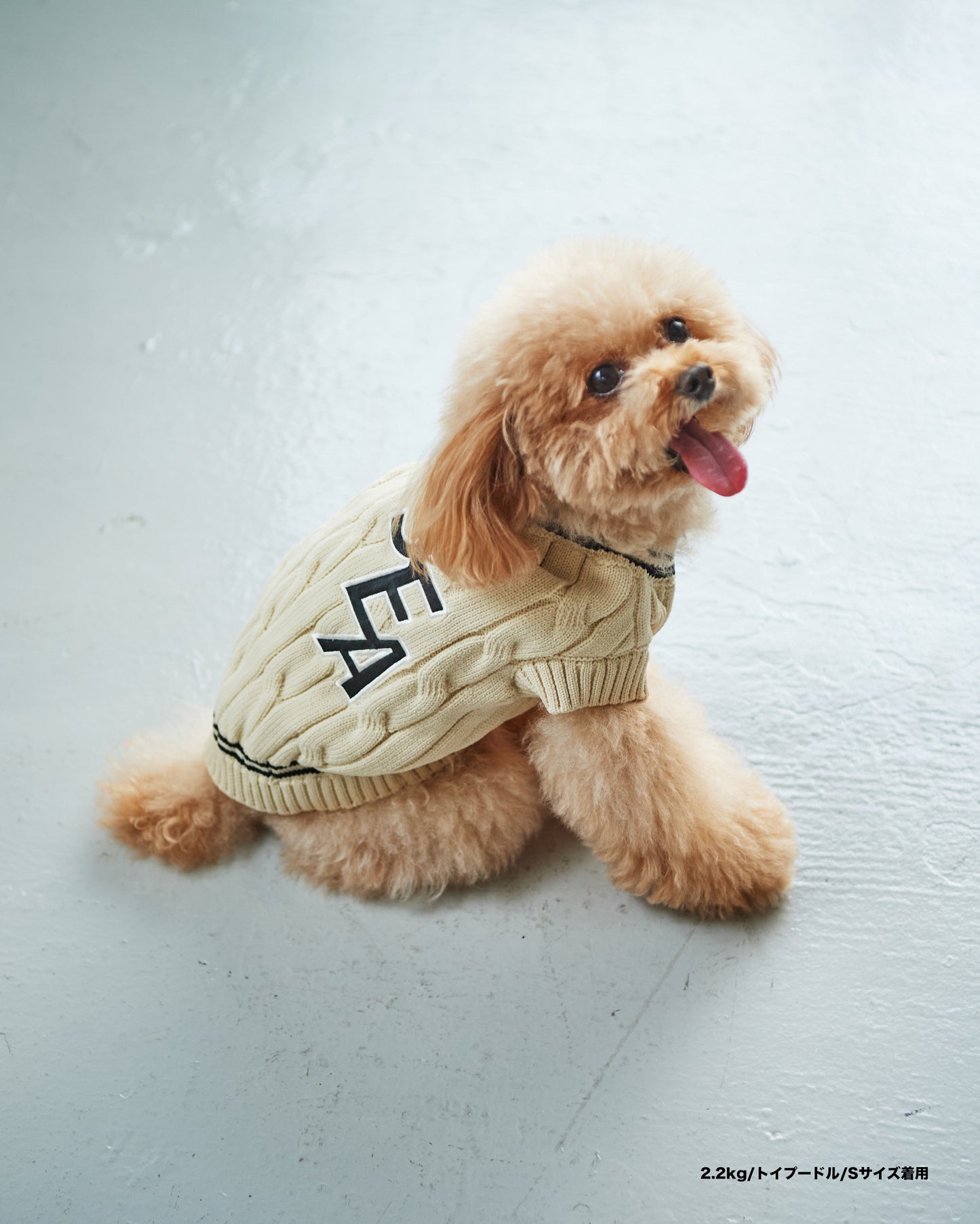 SEA DOG TILDEN SWEATER