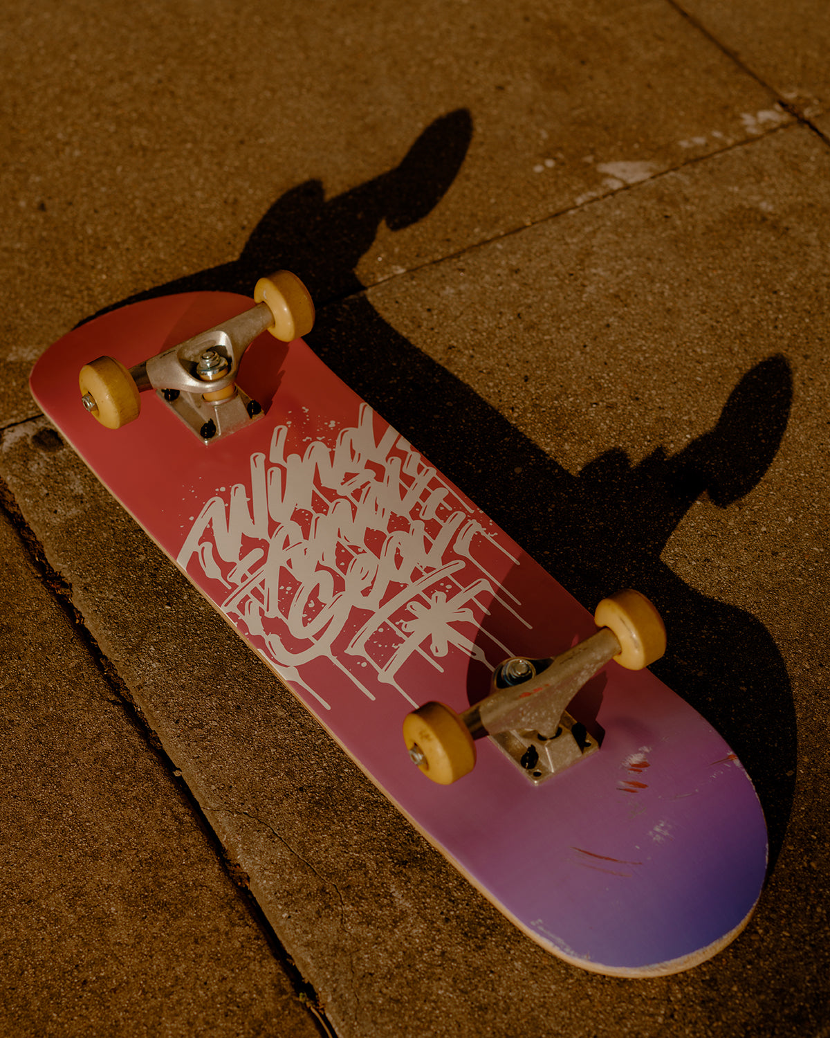 IT'S A LIVING x WDS SKATEBOARD