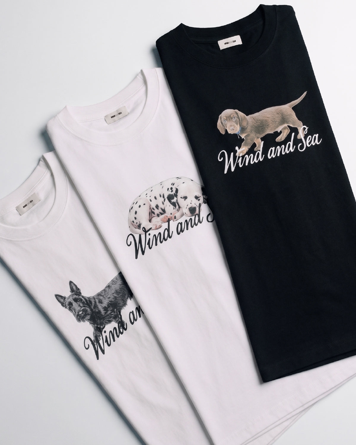 DOG LOGO S/S TEE