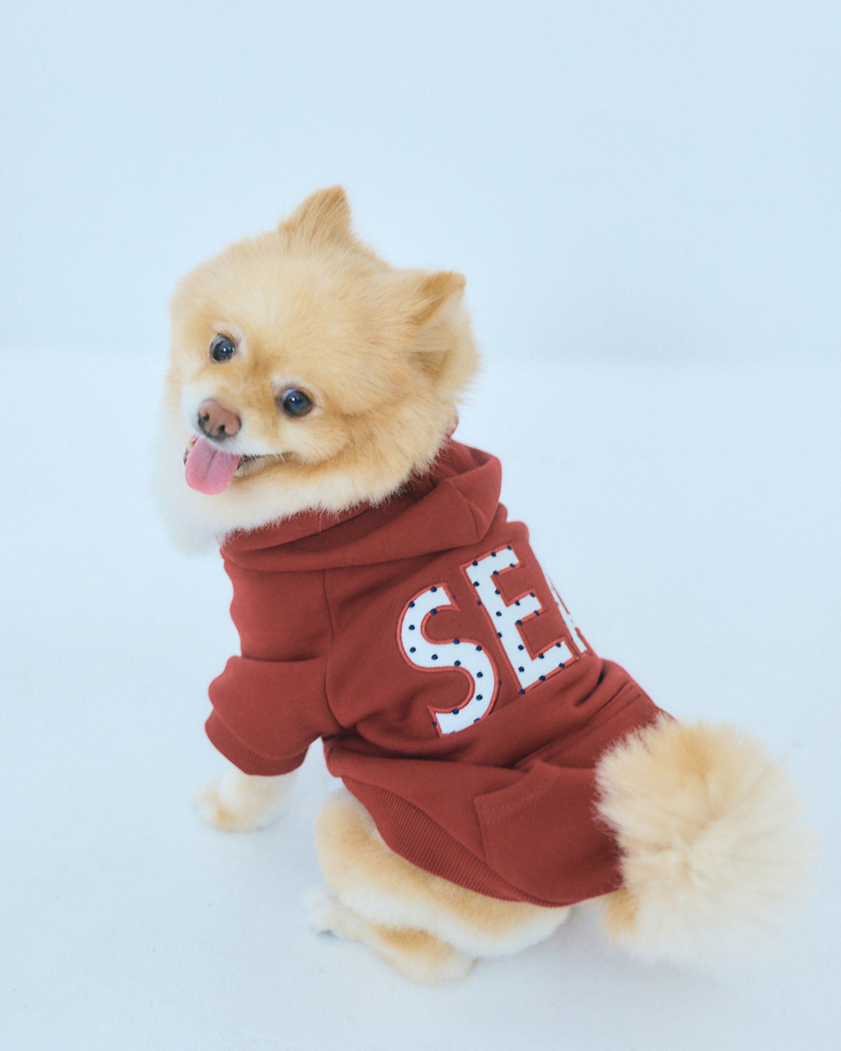 DOT SEA PATCH DOG SWEAT
