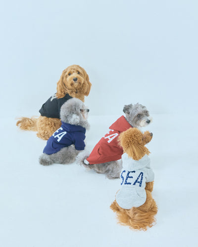 DOT SEA PATCH DOG SWEAT