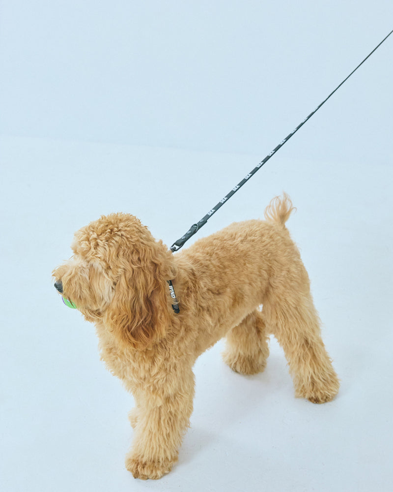 yonder x WDS DOG LEAD
