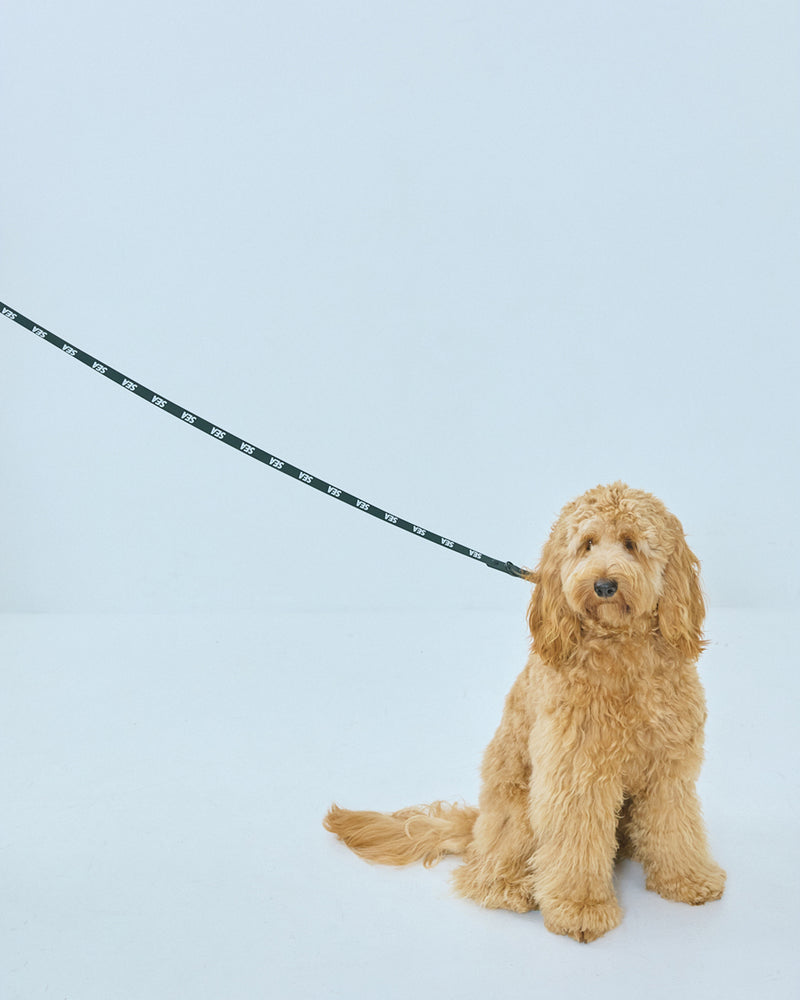 yonder x WDS DOG COLLAR