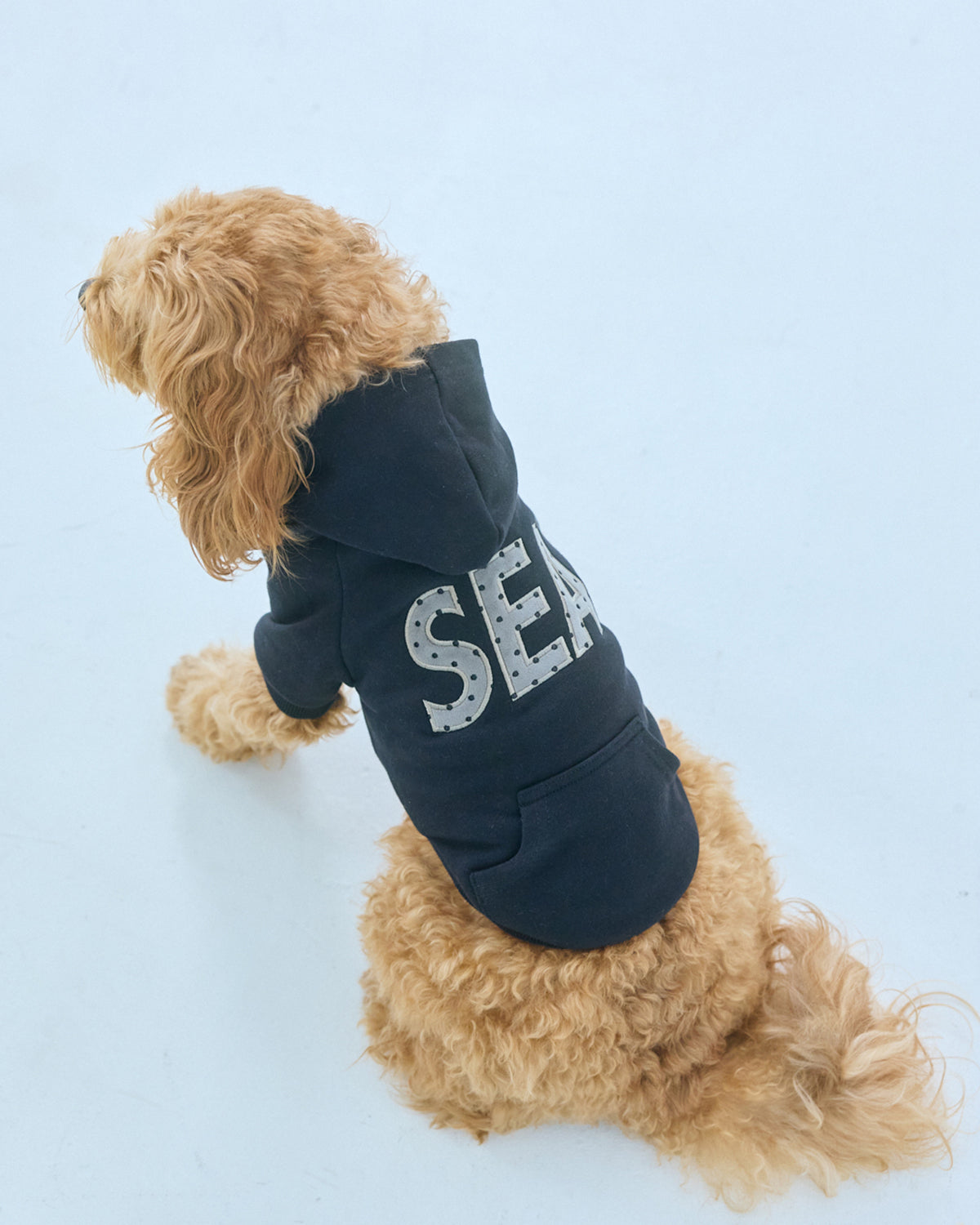 DOT SEA PATCH DOG SWEAT