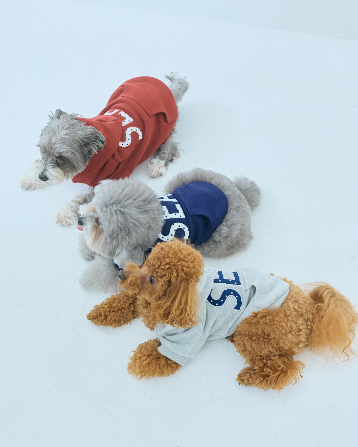 DOT SEA PATCH DOG SWEAT