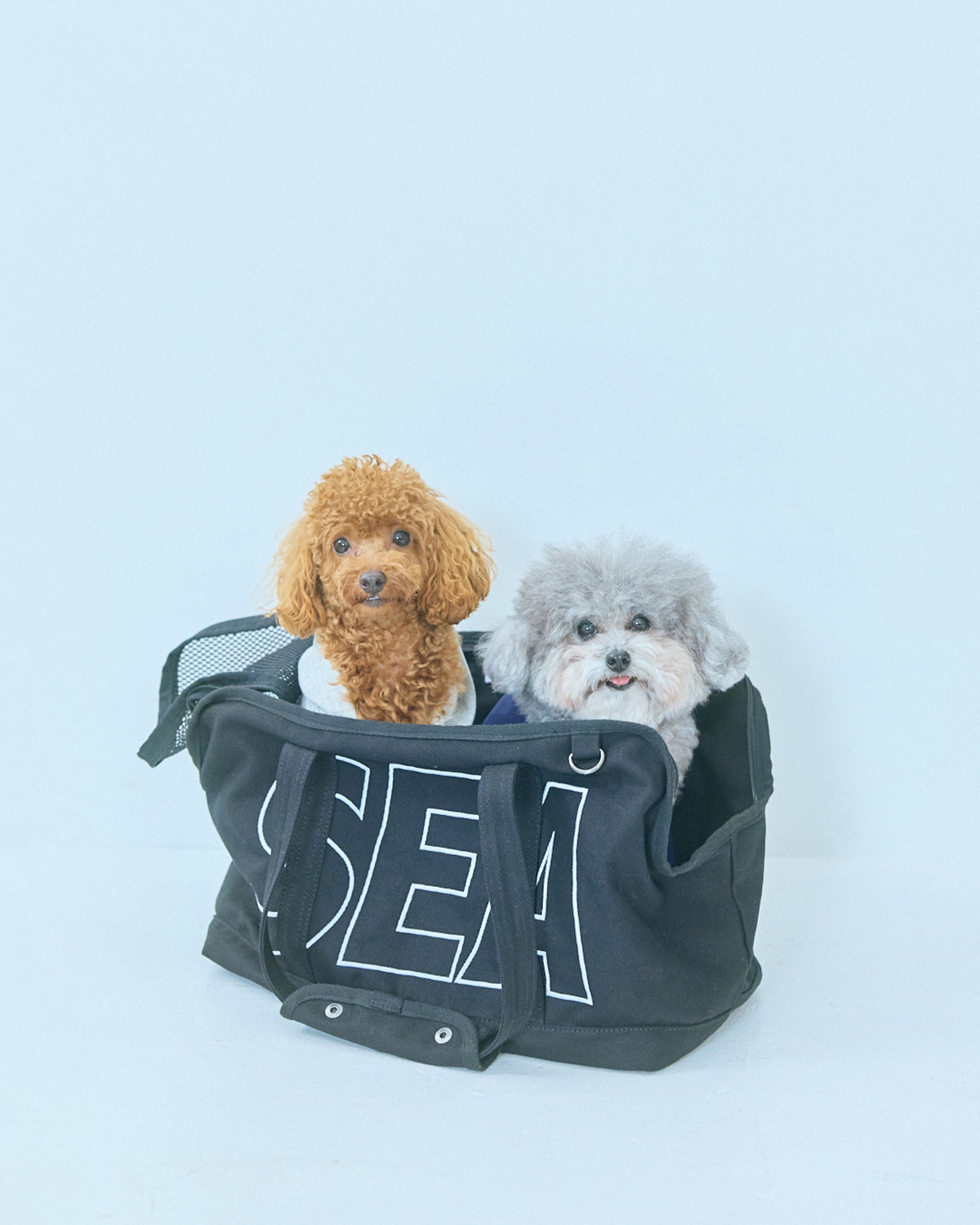 yonder x WDS DOG LEAD