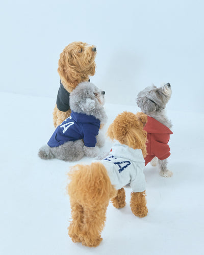 DOT SEA PATCH DOG SWEAT