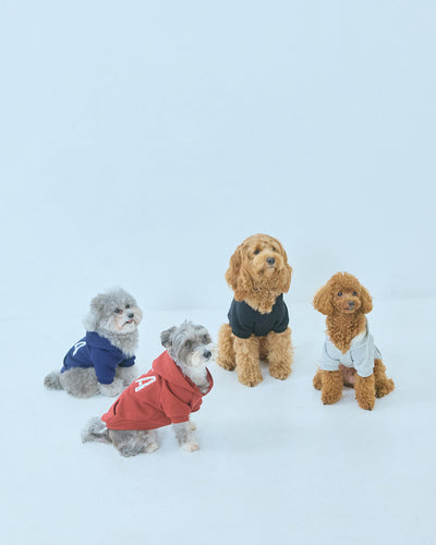 DOT SEA PATCH DOG SWEAT