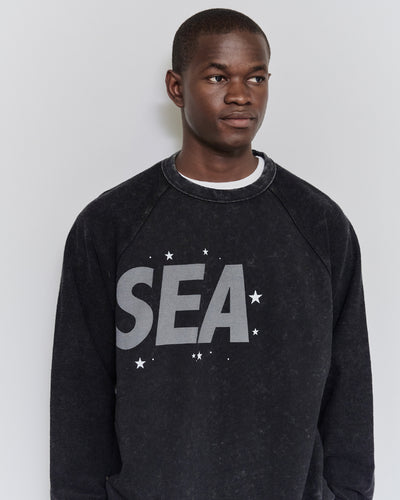 SMOOTHY x WDS FANTASIA RAGLAN TEE